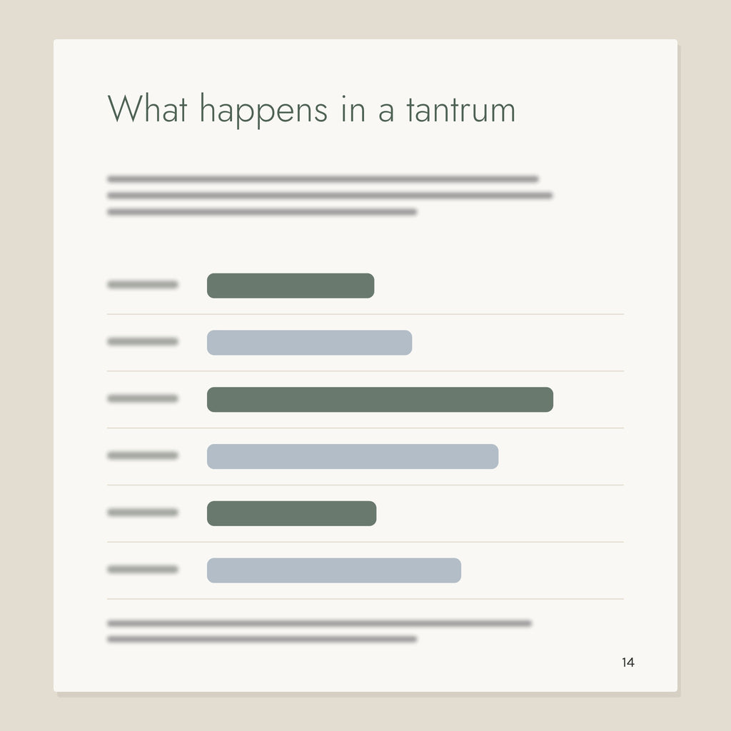 Inside page from Big Feelings, Small People: What happens in a tantrum