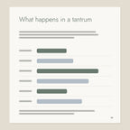 Inside page from Big Feelings, Small People: What happens in a tantrum