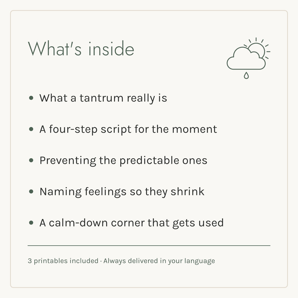 What's inside the Big Feelings, Small People e-book: five chapters and three printables