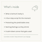 What's inside the Big Feelings, Small People e-book: five chapters and three printables