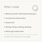 What's inside The First Year, Month by Month e-book: five chapters and three printables