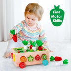 Montessori-formsorterer med have-tema og trækasse