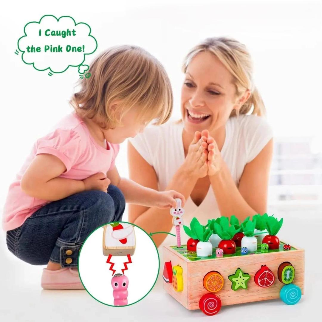 Montessori Garden Shape Sorter with Wooden Box Structure