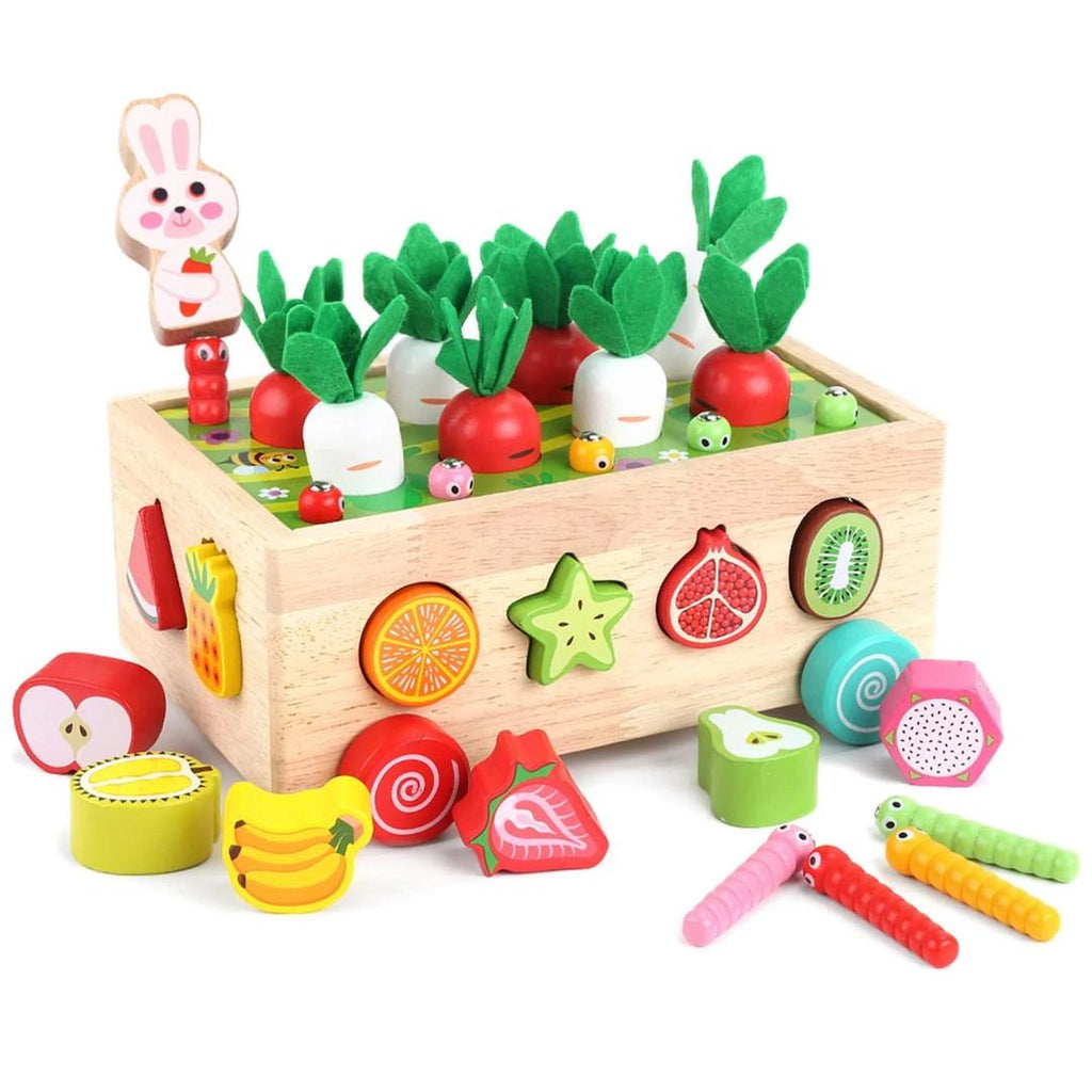 Montessori Garden Shape Sorter with Wooden Box Structure
