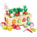 Montessori Garden Shape Sorter with Wooden Box Structure