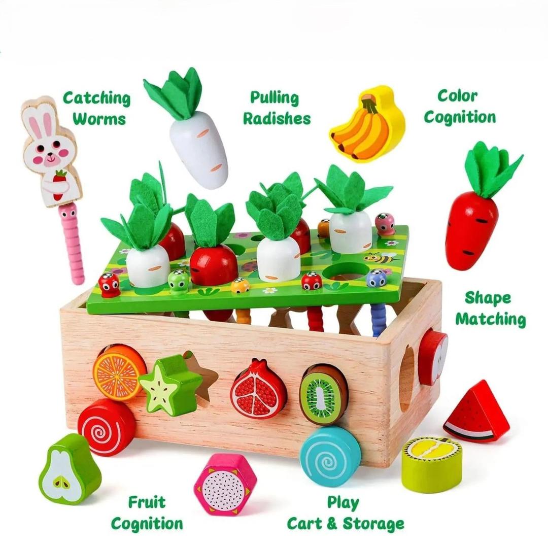 Montessori Garden Shape Sorter with Wooden Box Structure