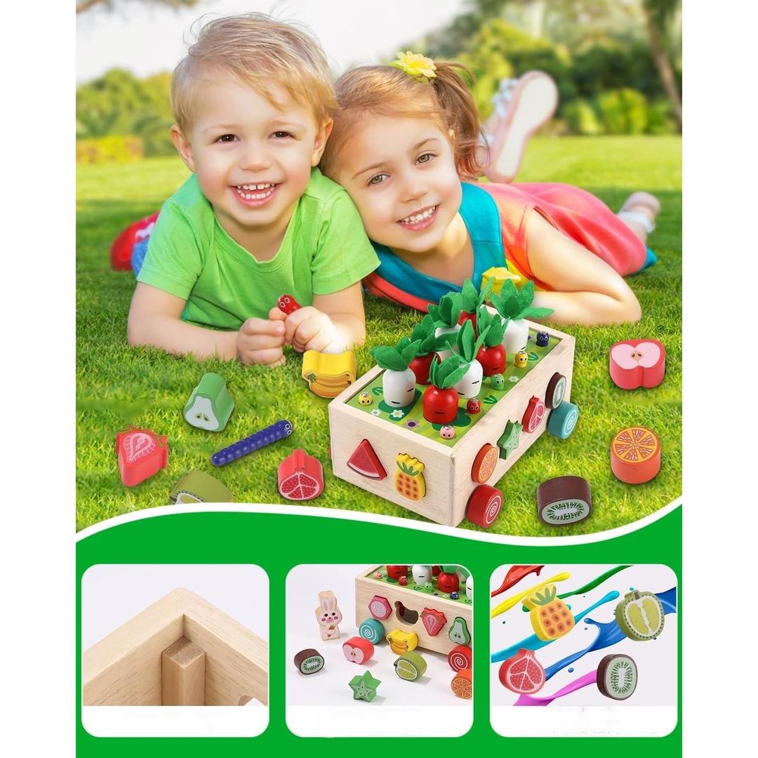 Montessori Garden Shape Sorter with Wooden Box Structure