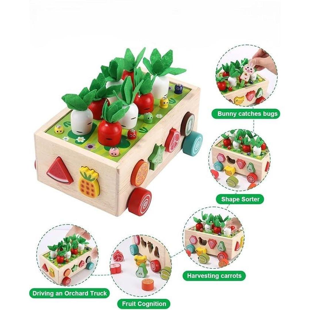 Montessori Garden Shape Sorter with Wooden Box Structure