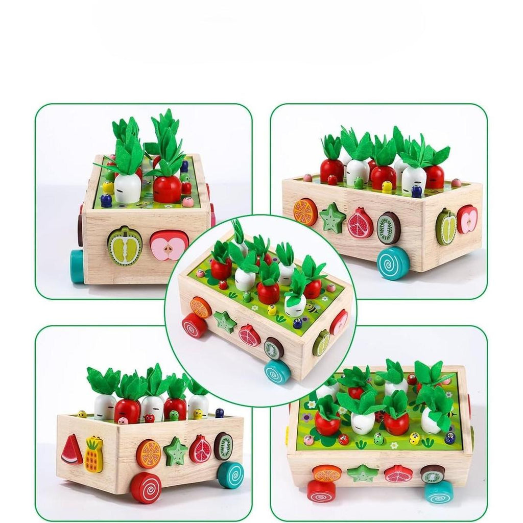 Montessori Garden Shape Sorter with Wooden Box Structure