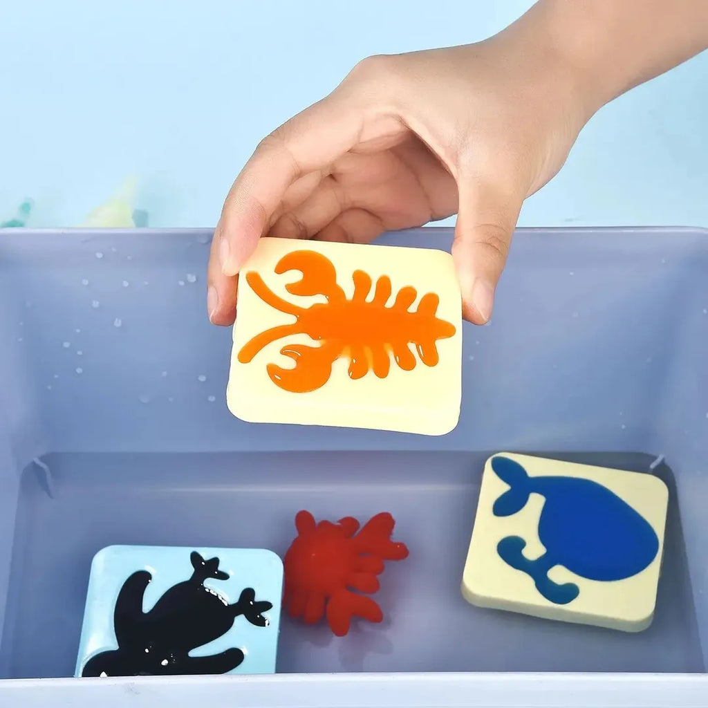 Water Jelly Toy Set with Mold
