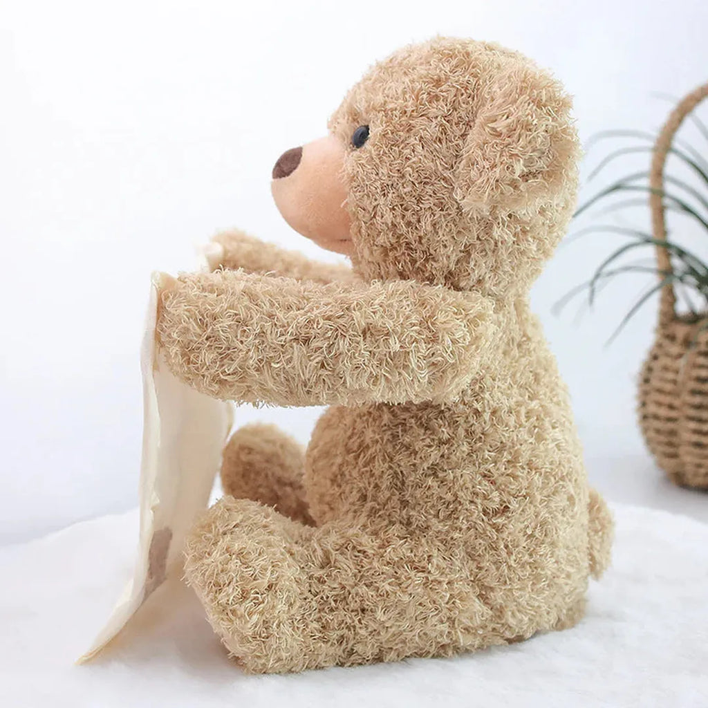 Plush Teddy Toy with Attached Fabric Panel