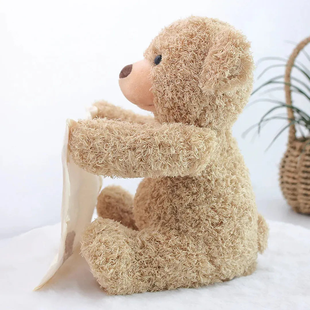 Plush Teddy Toy with Attached Fabric Panel