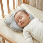 Baby Head and Neck Pillow with Quilted Cover