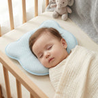 Baby Head and Neck Pillow with Quilted Cover