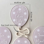 Baby Milestone Balloon Disc Set - Month Milestone Photo Props