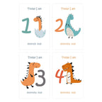 Baby Milestone Cards - Monthly Photo Prop Set