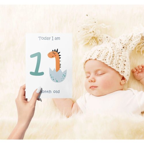 Baby Milestone Cards - Monthly Photo Prop Set