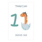 Baby Milestone Cards - Monthly Photo Prop Set