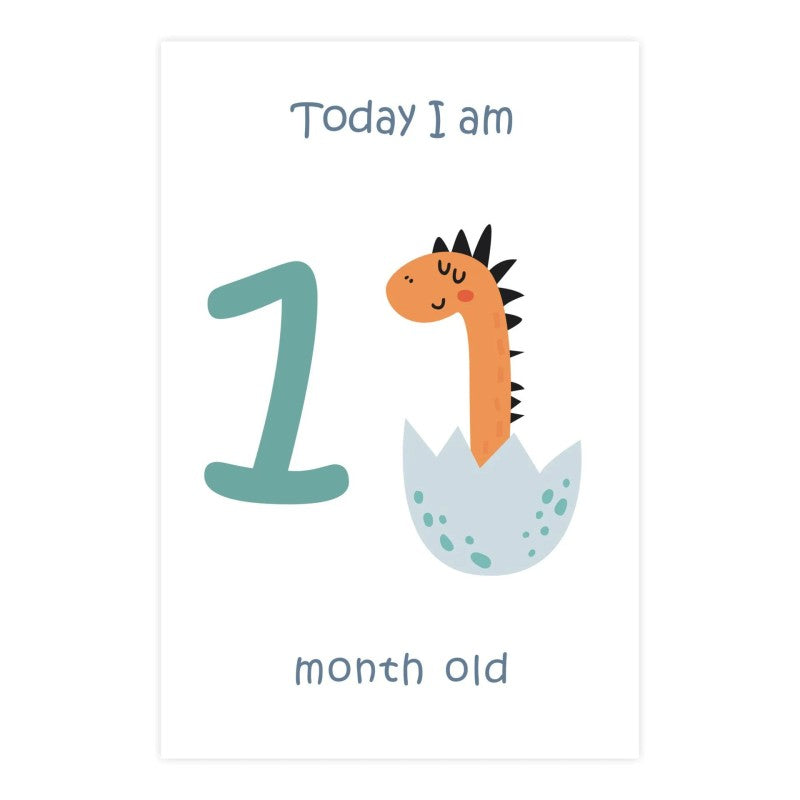 Baby Milestone Cards - Monthly Photo Prop Set