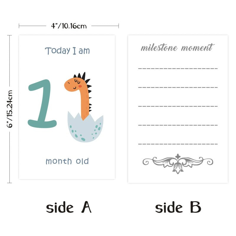 Baby Milestone Cards - Monthly Photo Prop Set