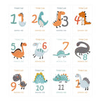 Baby Milestone Cards - Monthly Photo Prop Set