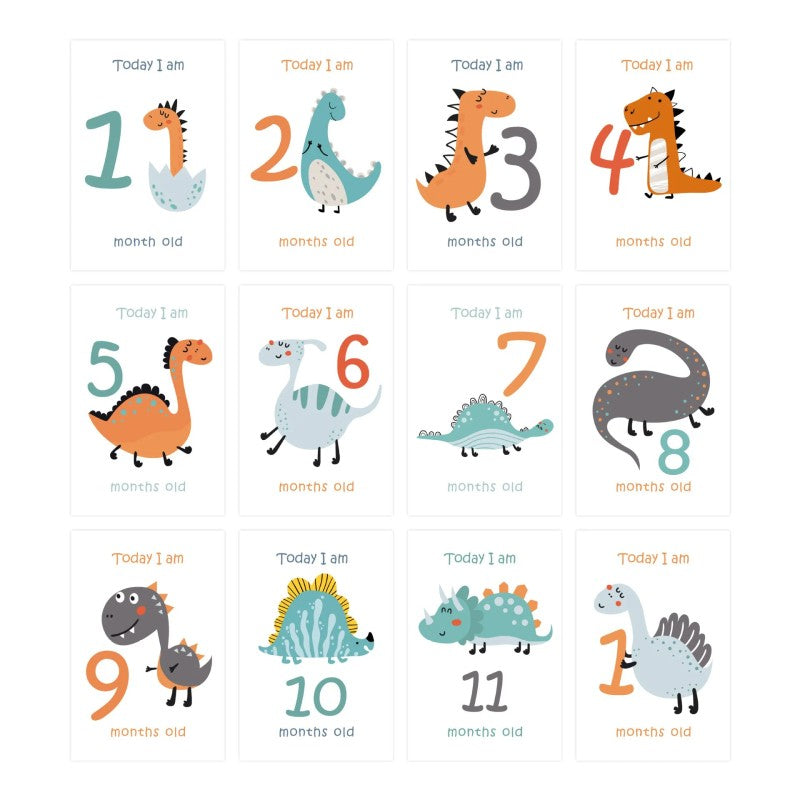 Baby Milestone Cards - Monthly Photo Prop Set
