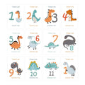 Baby Milestone Cards - Monthly Photo Prop Set