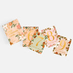 Baby Milestone Cards Set in Gift Box - Gold Foil Accents