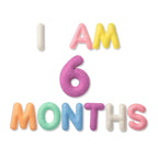 Baby Milestone Photo Prop Set - Stuffed Letters and Numbers