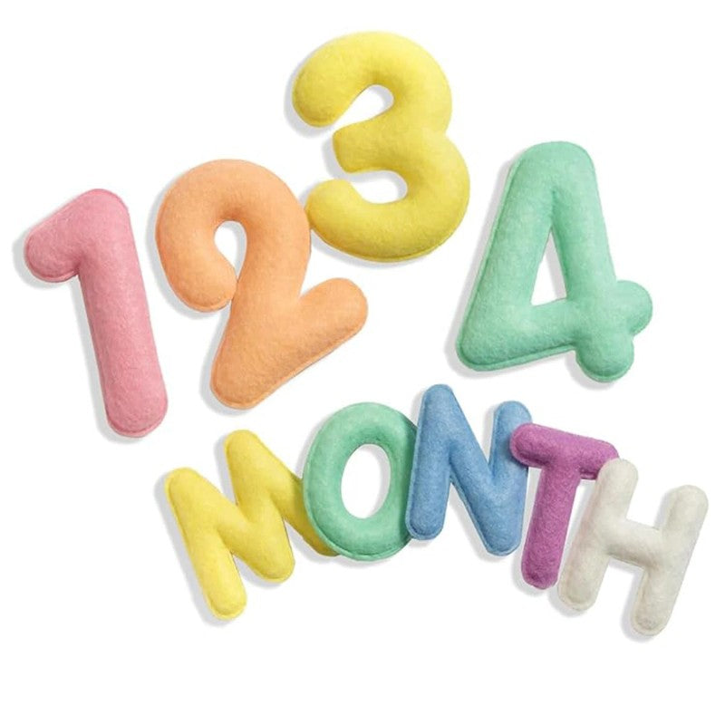 Baby Milestone Photo Prop Set - Stuffed Letters and Numbers