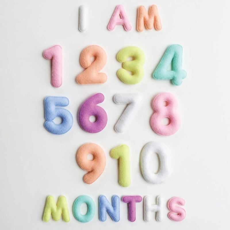 Baby Milestone Photo Prop Set - Stuffed Letters and Numbers