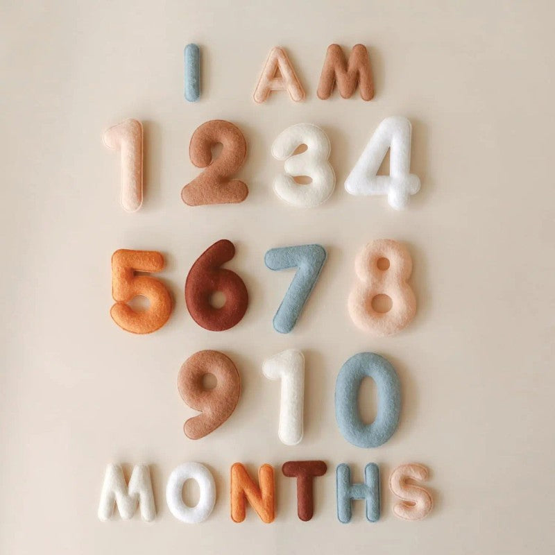 Baby Milestone Photo Prop Set - Stuffed Letters and Numbers