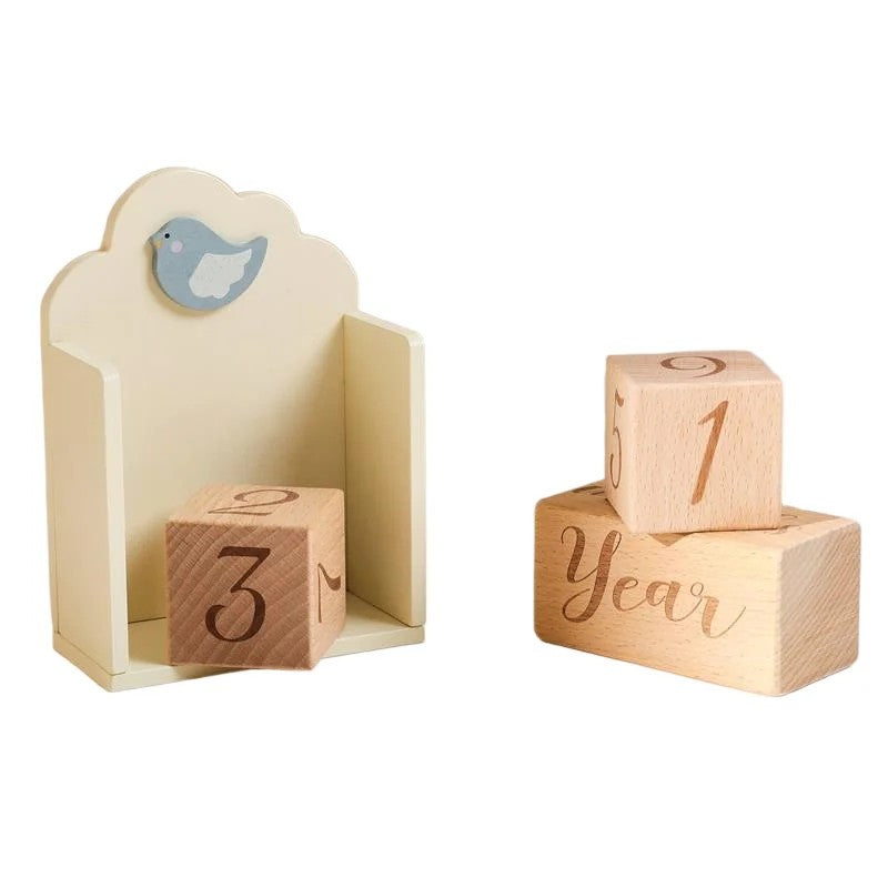 Baby Milestone Wooden Block Set with Decorative Stand
