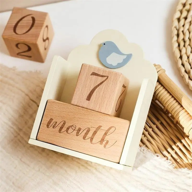 Baby Milestone Wooden Block Set with Decorative Stand