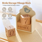 Baby Milestone Wooden Block Set with Decorative Stand