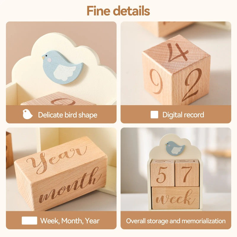 Baby Milestone Wooden Block Set with Decorative Stand