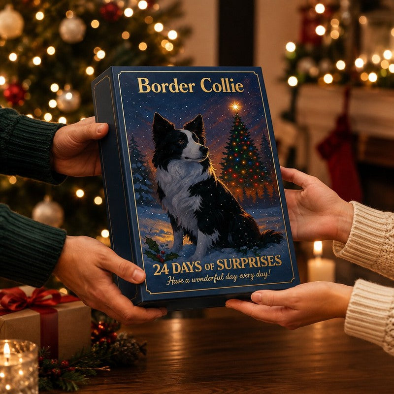 Border Collie Advent Calendar 2026 - 24 Plastic Figurines