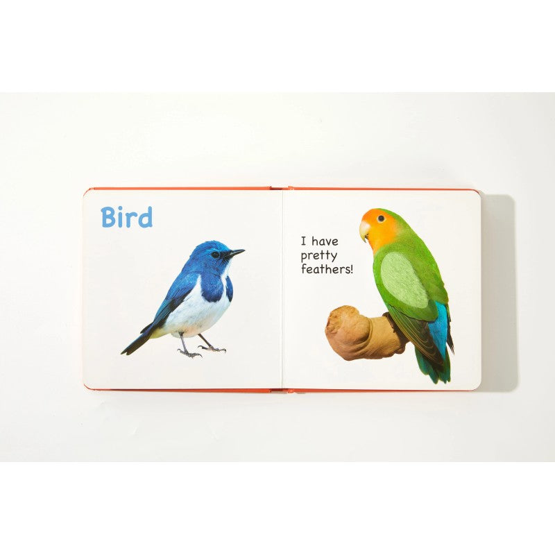 Children's Hardcover Touch-and-Feel Board Book - Square Format