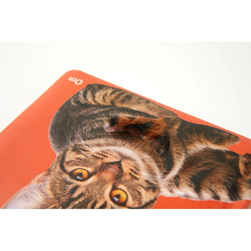 Children's Hardcover Touch-and-Feel Board Book - Square Format