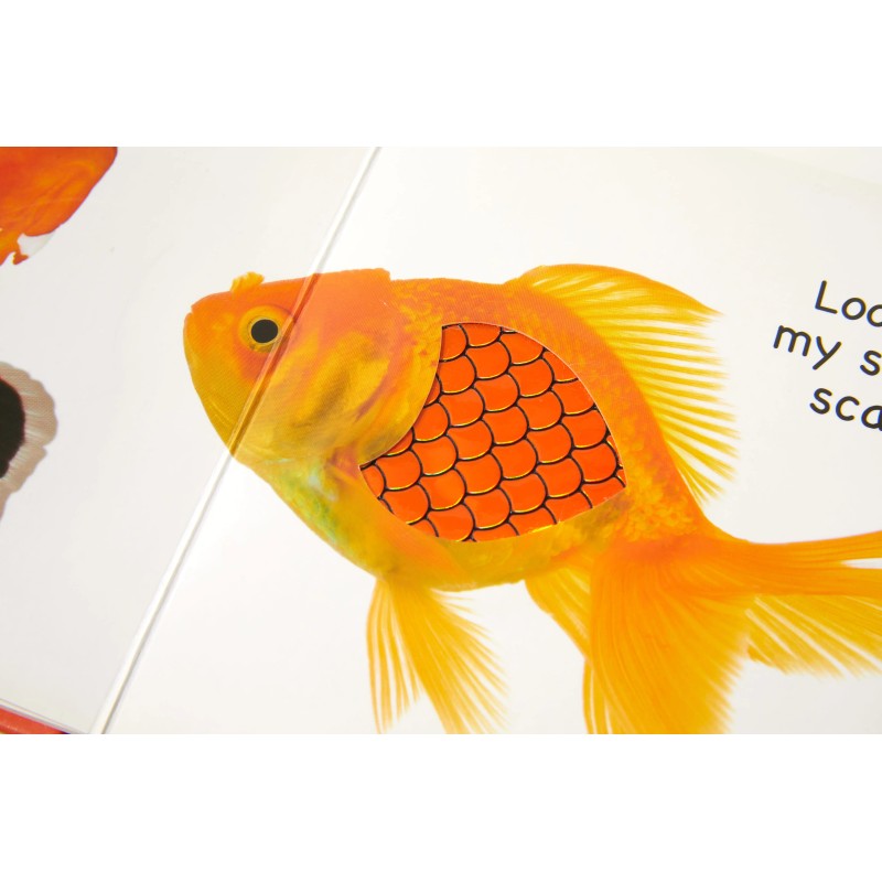 Children's Hardcover Touch-and-Feel Board Book - Square Format