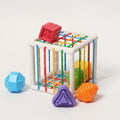 Educational Toy - Montessori Shape Sorting Cube