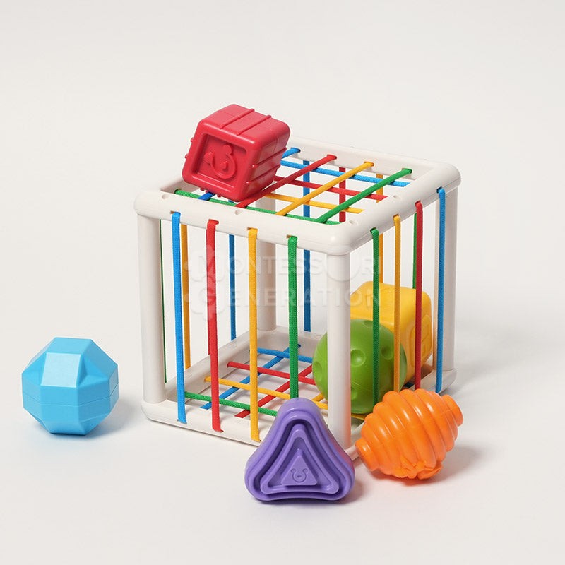 Educational Toy - Montessori Shape Sorting Cube