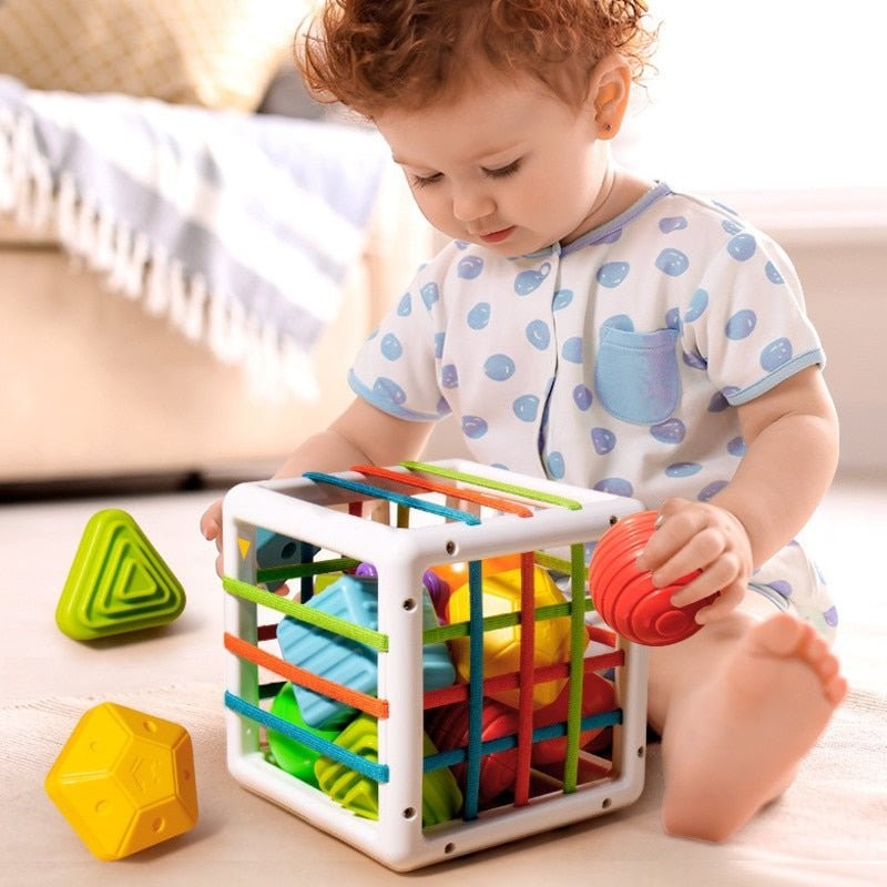 Educational Toy - Montessori Shape Sorting Cube