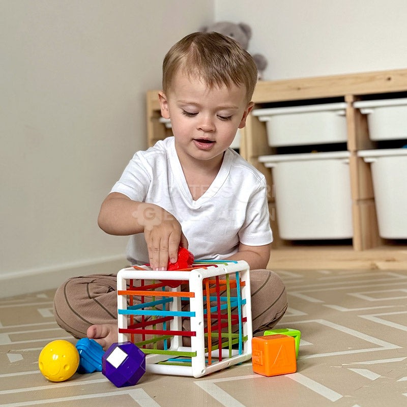 Educational Toy - Montessori Shape Sorting Cube