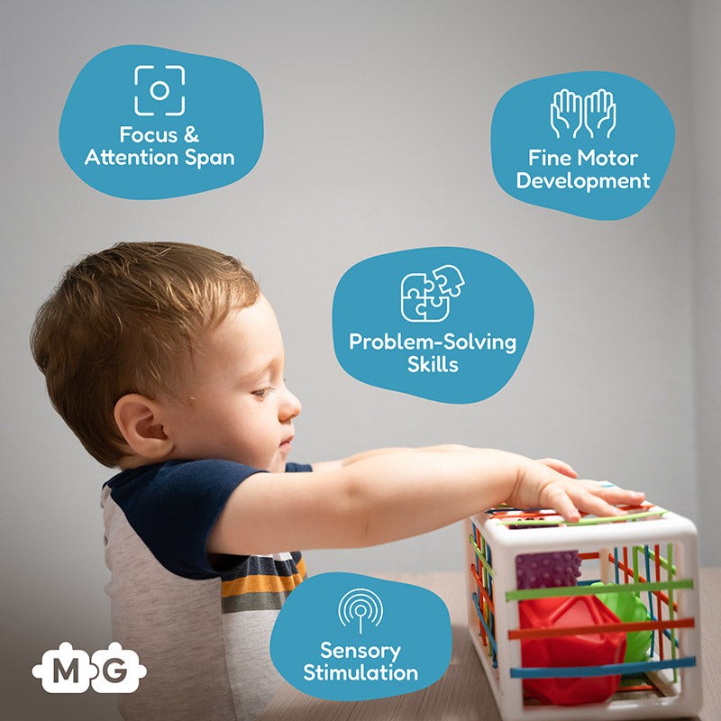 Educational Toy - Montessori Shape Sorting Cube