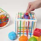 Educational Toy - Montessori Shape Sorting Cube