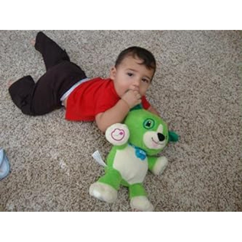 Interactive Toy - Dog Song Learner