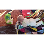 Interactive Toy - Dog Song Learner