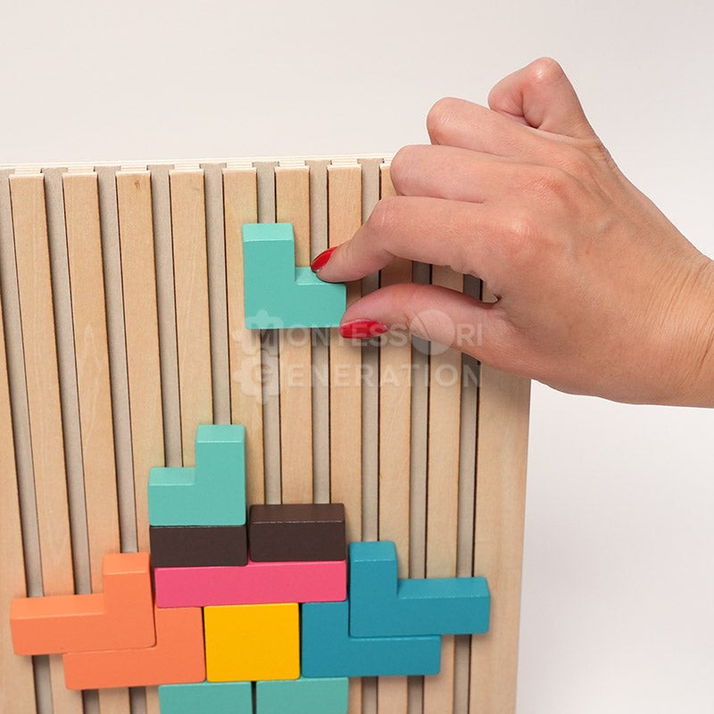 Montessori Shape-Fitting Puzzle Set - Wooden Brain Block Toy