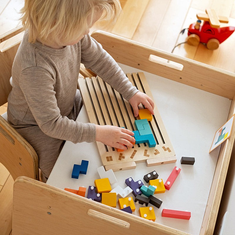 Montessori Shape-Fitting Puzzle Set - Wooden Brain Block Toy